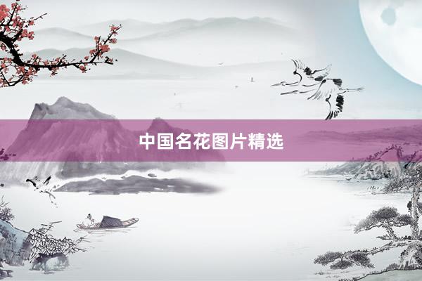 中国名花图片精选