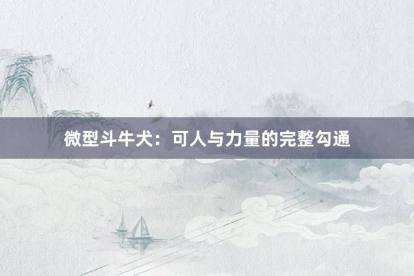 微型斗牛犬：可人与力量的完整勾通