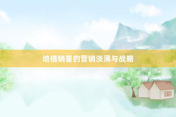 培植销量的营销淡薄与战略
